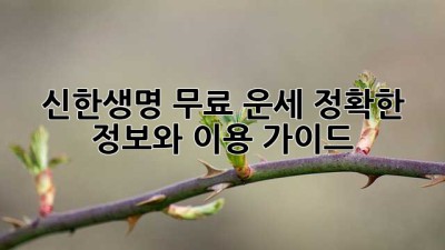 신한생명 무료 운세: 정확한 정보와 이용 가이드