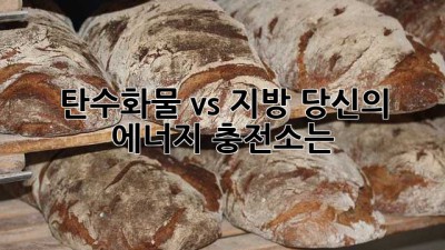 탄수화물 vs 지방: 당신의 에너지 충전소는?